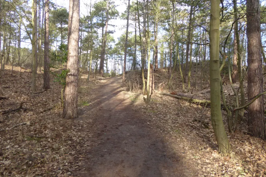 Natuur Boswachterij