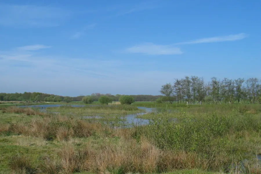 Natuur Vroongronden