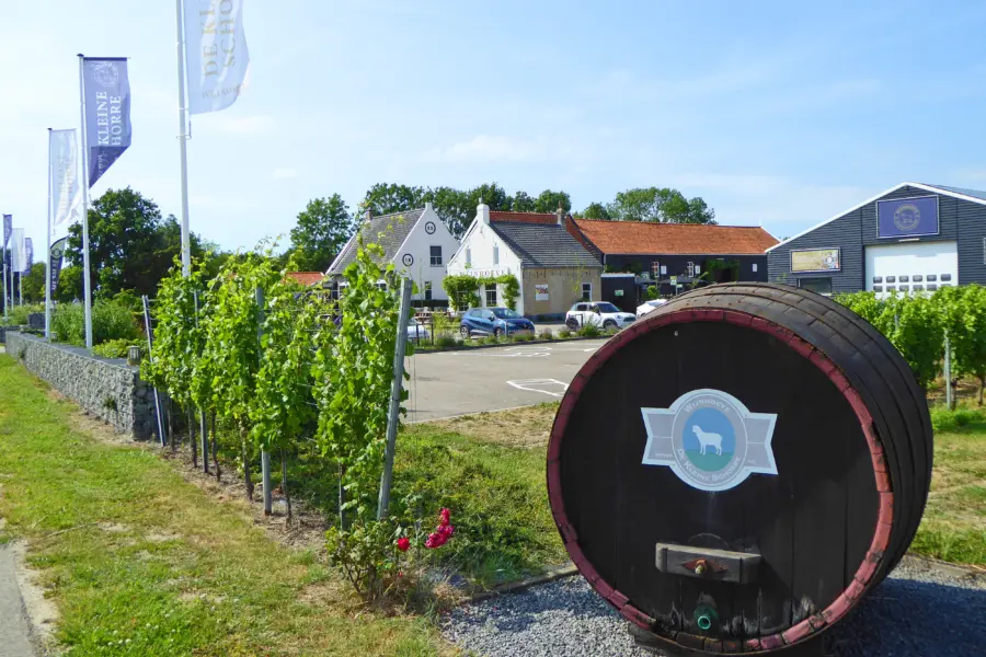 Eten en Drinken Een lekker glaasje wijn