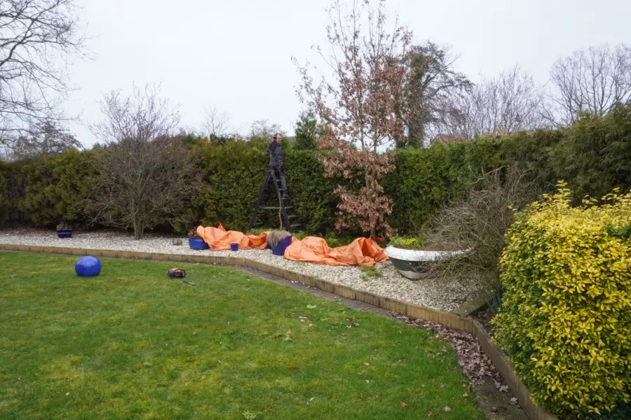 Tuinonderhoud